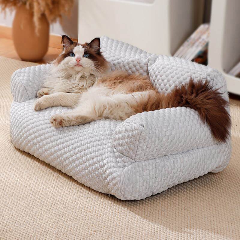 FreshPets| Cama refrescante para Mascotas